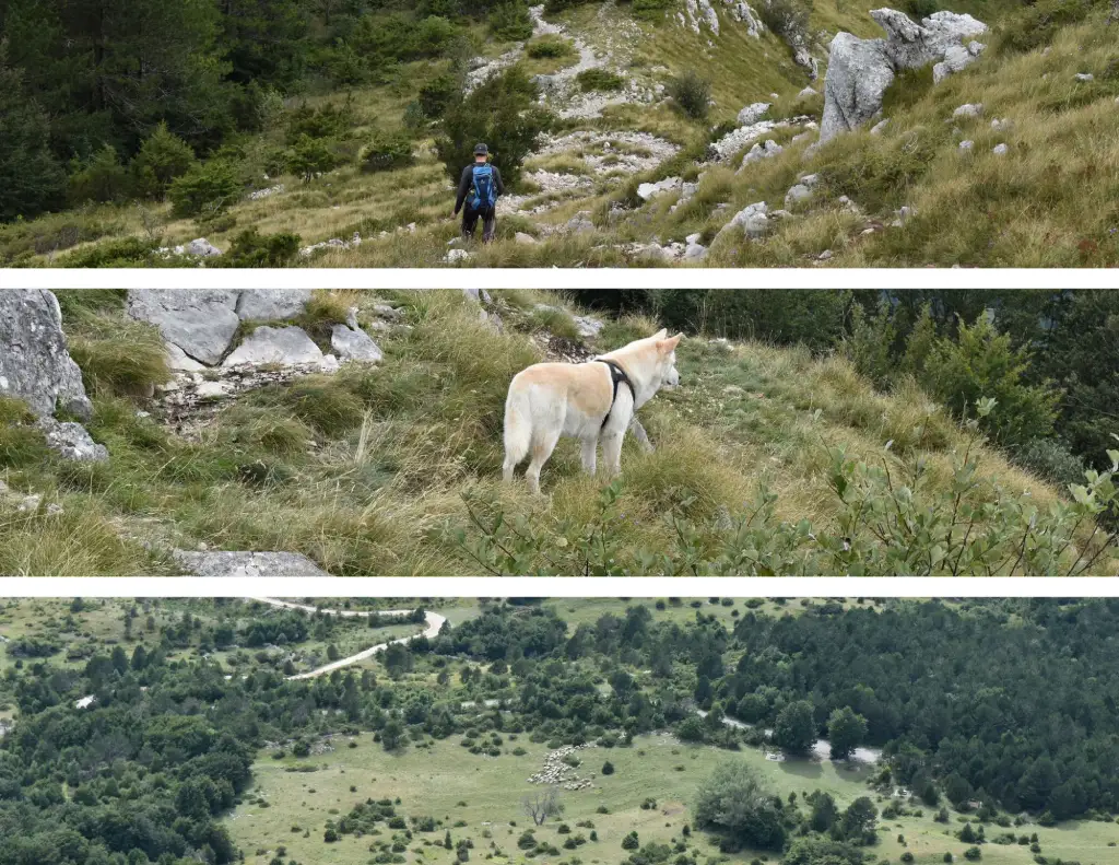 Učka, spust sa Vojaka na Sedlo.