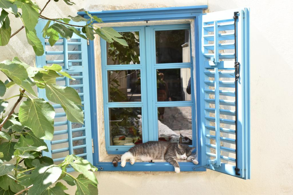 Vrbnik, pitoresknim otočkim ulicama. Foto Zdravko Rajko