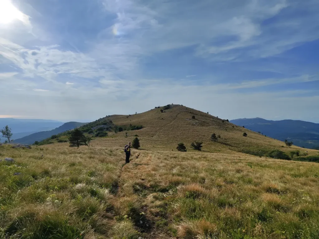 Žbevnica ljeti, livade