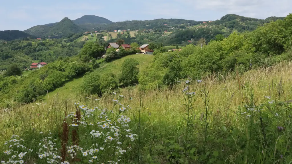 Plešivica, pejzaž pod prijevojem Poljanice. Foto Zdravko Rajko, 2024