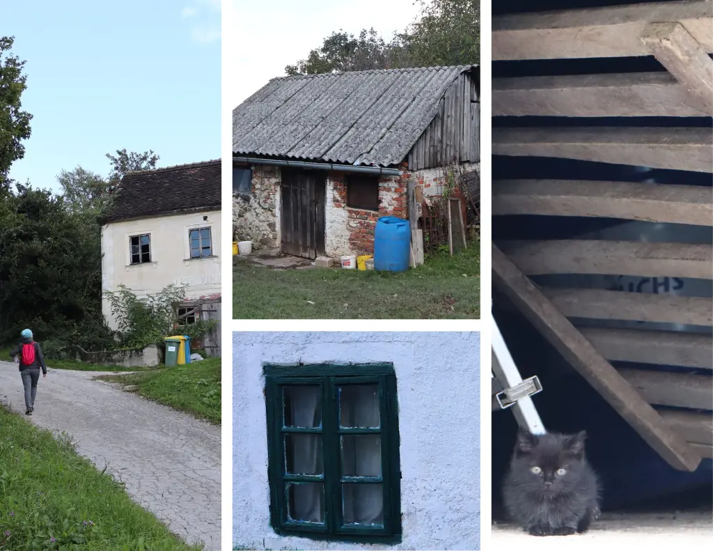 Plešivica, selo Kotari.