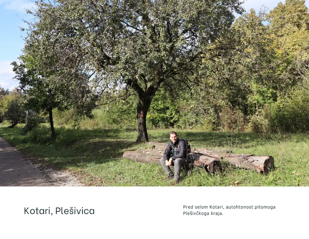 Plešivičkim krajem. Foto J. Jasna