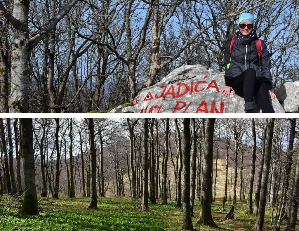 Žukalj - Jadićeva plan, na vrhu.