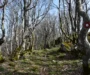Planinarenje između sela i neba: od sela Žukalj do vrha Jadićeva Plan