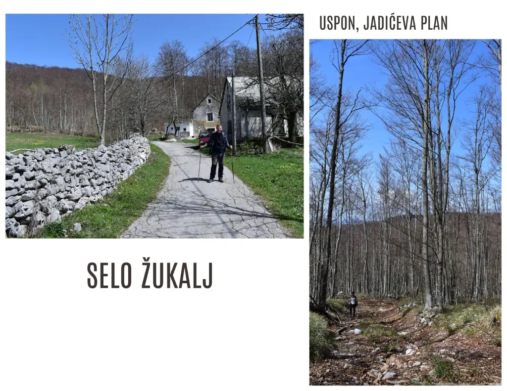 Žukalj - Jadićeva plan.