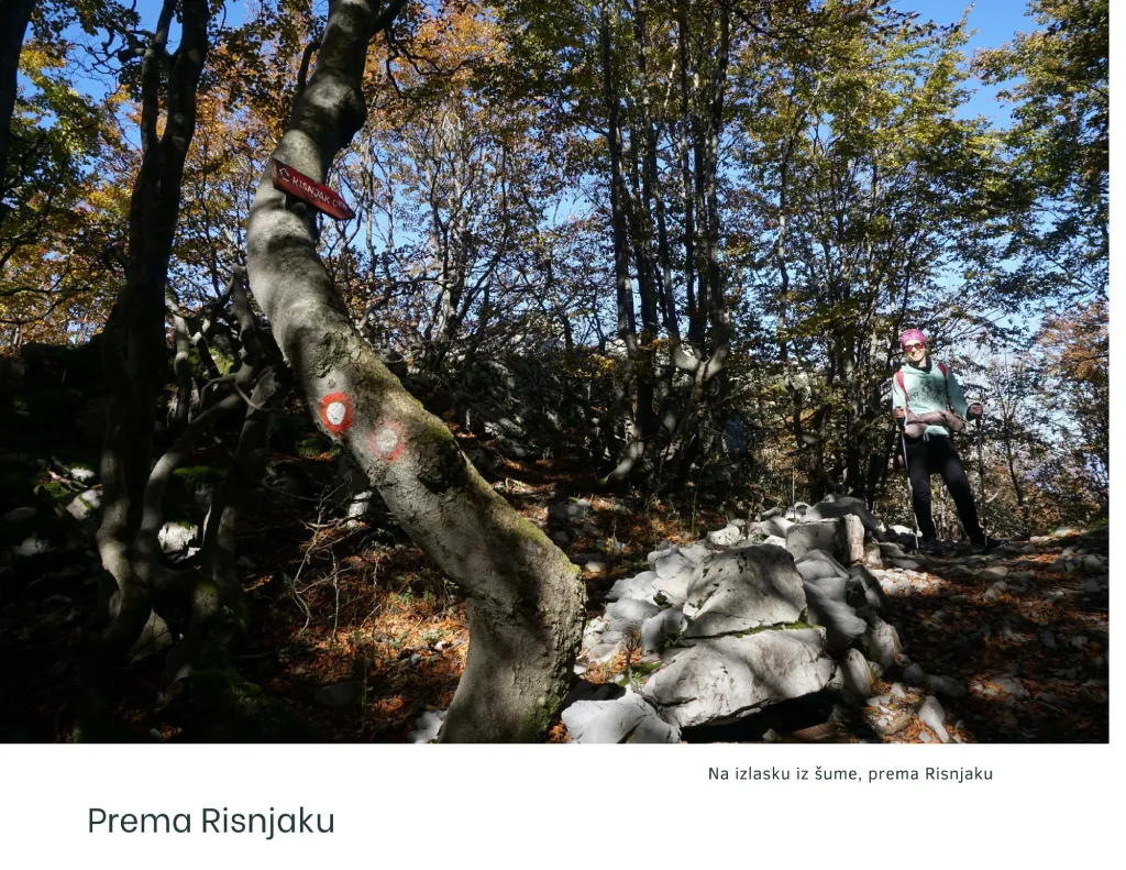 Vilje - Risnjak, prema Risnjaku.