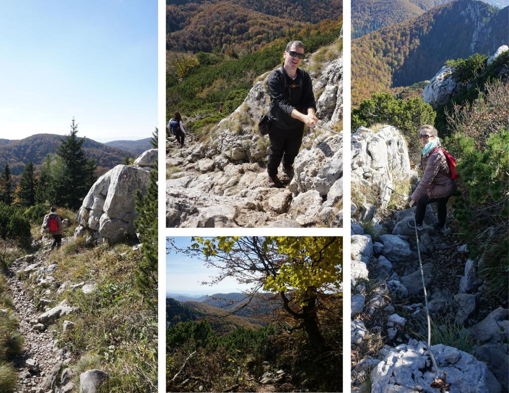 Vilje - Risnjak, na sajlama pod vrhom Risnjak.