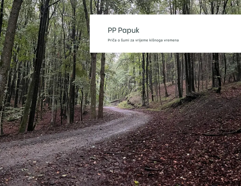 Papuk, šuma po kiši.