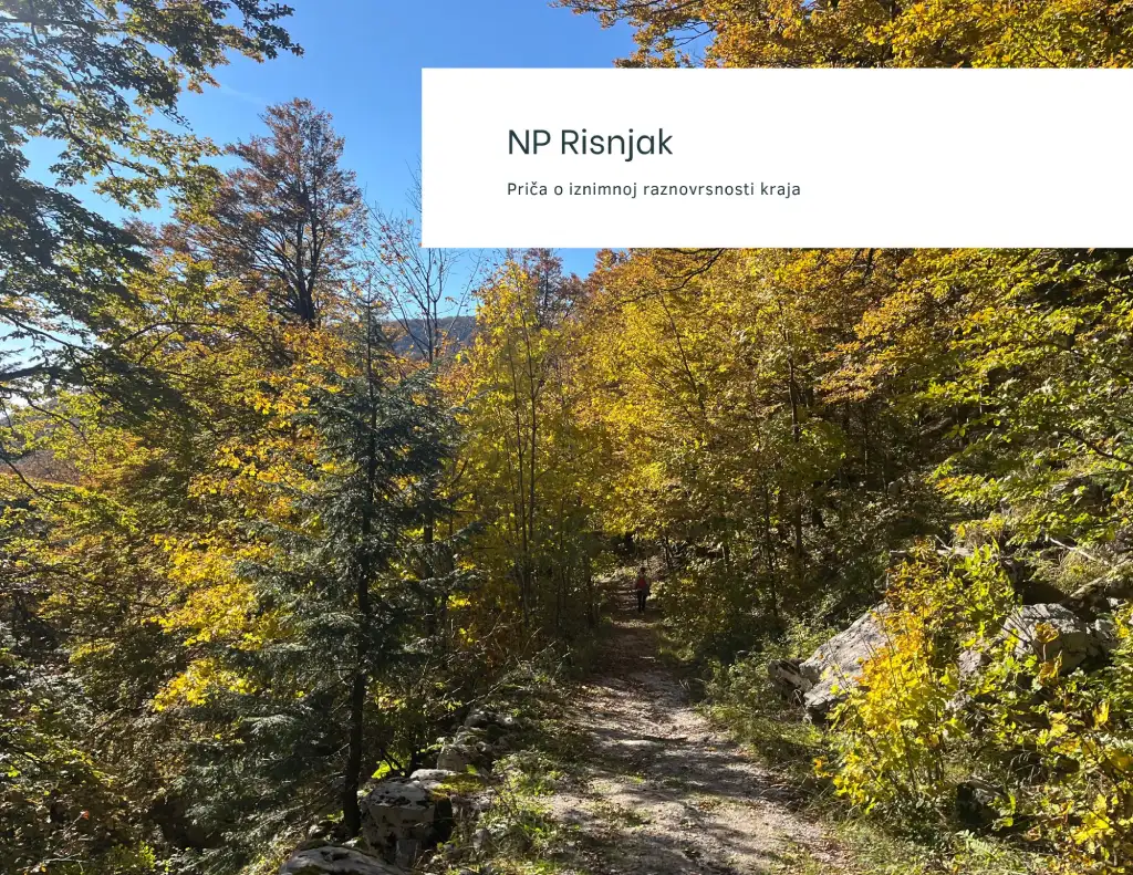 Vilje - Risnjak, carstvo boja.