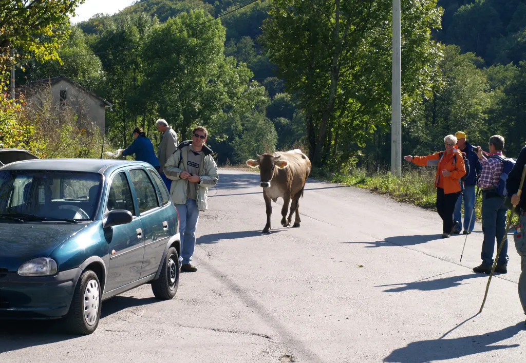 Zašto u PD, sa pohoda na Rečini, 2009, arhivska fotografija. 