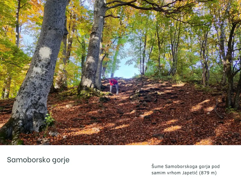 Japetić, pred vrhom-foto Jasna J., 2025