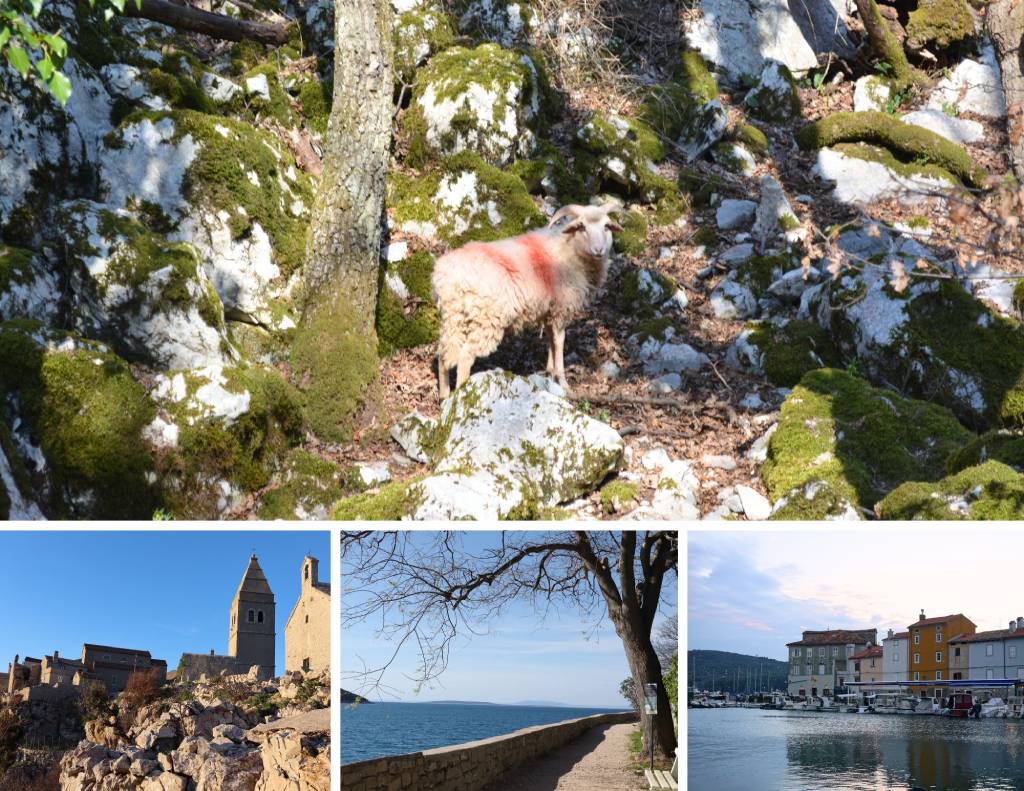 Otok Cres