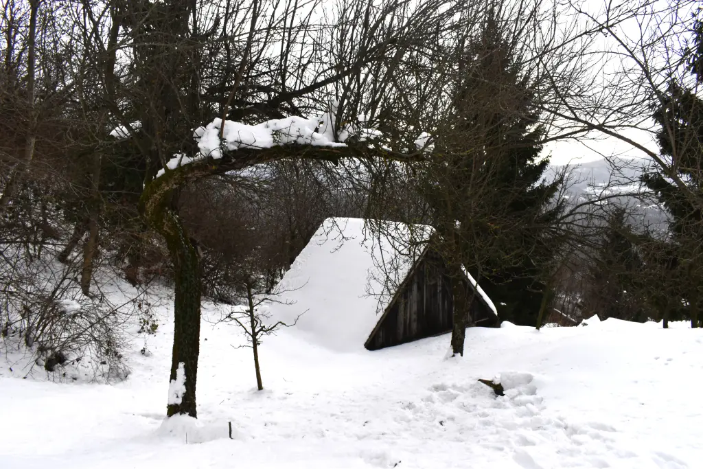Ravna gora, autohtona kuća u snježnoj idili.