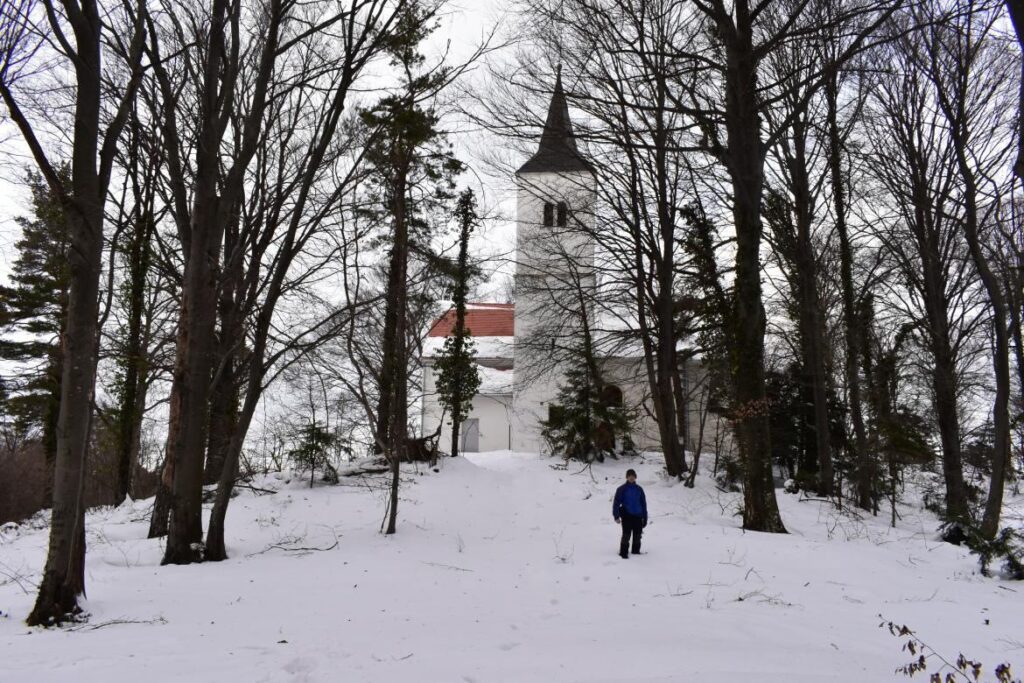 Ravna gora, šuma ispred kapele sv. Tri Kralja.